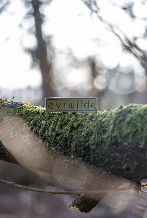 Desserto cactus leather jeans patch.    