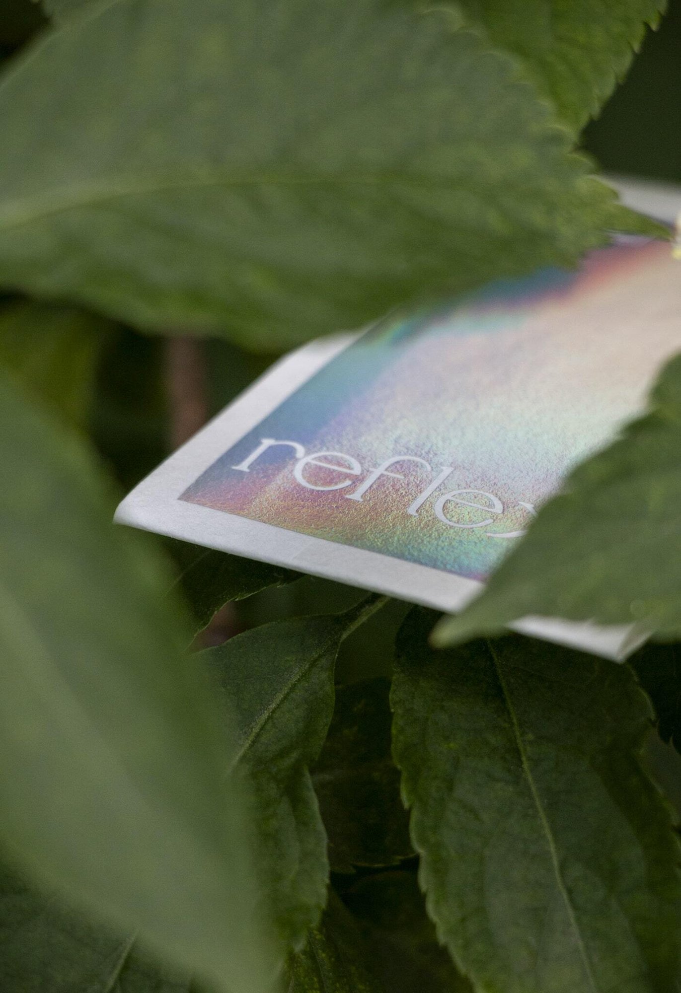 Reflekt paptic paper button bag