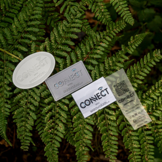Connect collection group 2