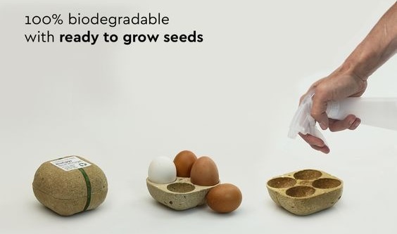 compostable packaging