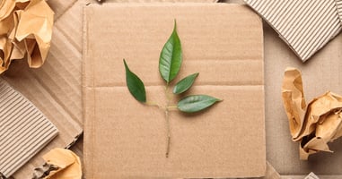 Leaf on pieces of cardboard