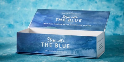 Step into the blue - women's socks