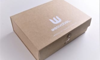100% compostable mailer bag