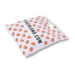 PEACHLAND Mailing Bag-1