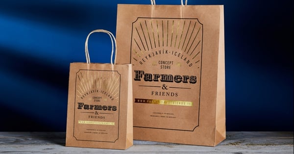 sustainable packaging for your brand kraft bag