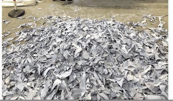 Large pile of fabric offcuts