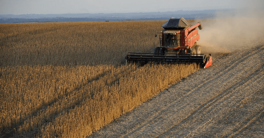 soybeans-1543071_1920