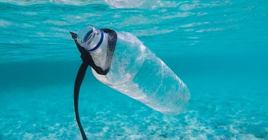 Plastic water bottle floating in the sea