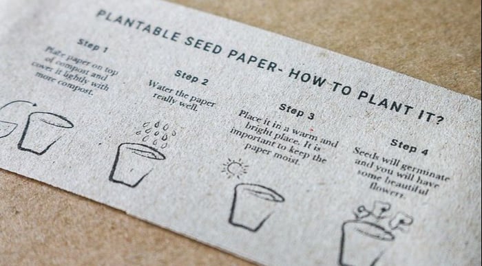 seed paper
