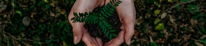 noah-buscher-x8ZStukS2PM-unsplash-1