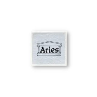ARIES ARISE Woven Badge-1-1 (1)