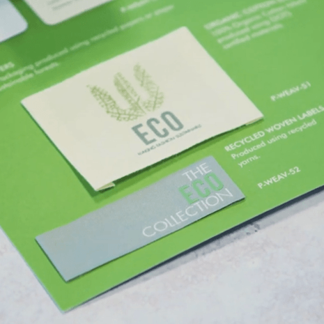 Eco1 Snapshot-1