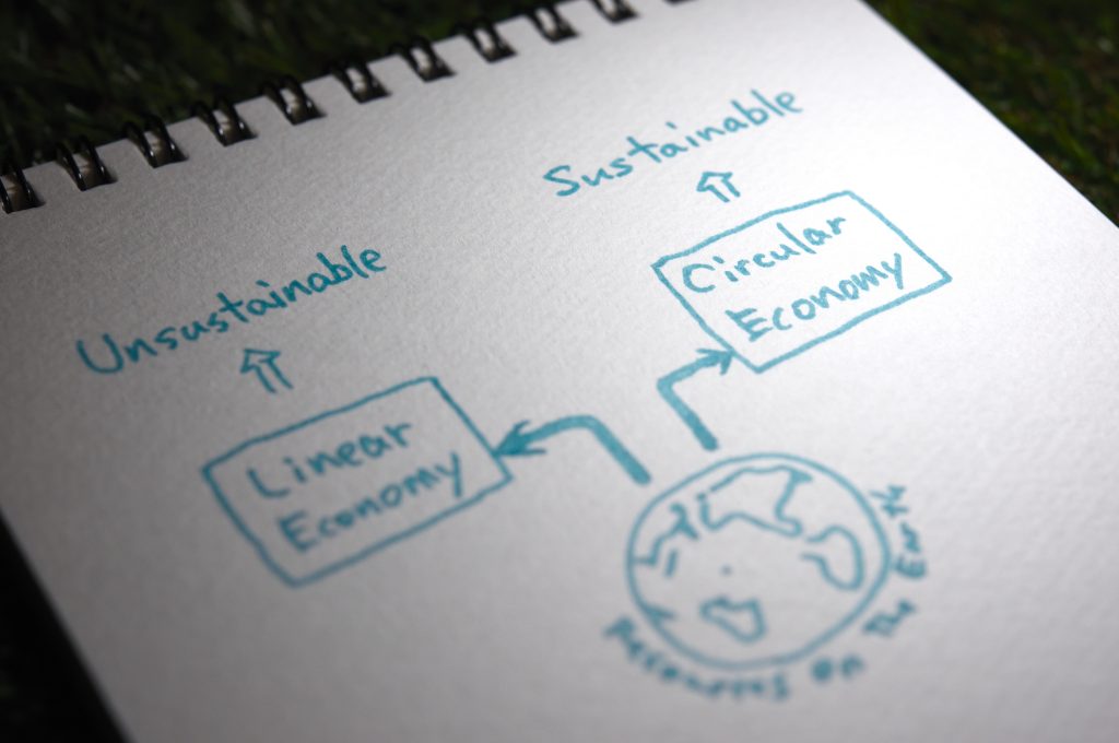 Linear Economy vs Circular Economy