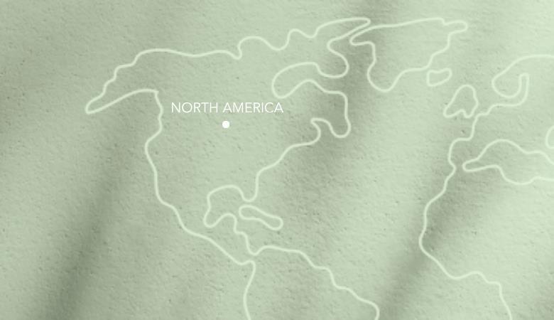 Map image showing North America location for Weavabel about page.